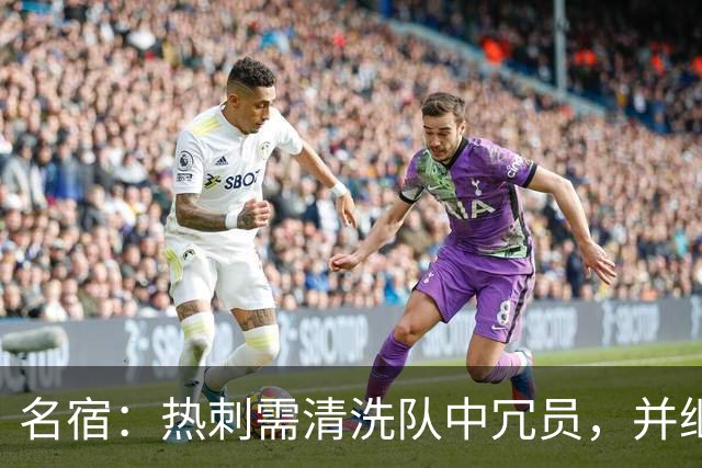 名宿：热刺需清洗队中冗员，并继续引援支持德泽尔比建队